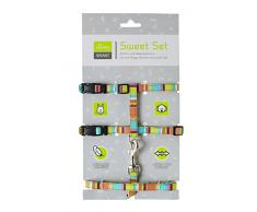 HUNTER STRIPES Welpen- und Katzengarnitur, Geschirr inklusive Leine