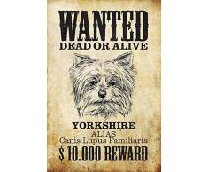 Schatzmix Wanted Dead or Alive - Yorkshire Terrier Yorkie $10.000 Reward Metal Sign deko Schild Blech Garten