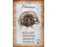 Schatzmix Hunde steckbrief: Pekinese - intelligent, eigensinnig, anhänglich, freundlich Metal Sign deko Schild Blech Garten