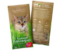 PRETTY KITTY Premium Katzengras Samen: 1 Beutel mit 25g Saatmischung für 10 Töpfe fertiges Katzengras zum Naschen – eine grüne Katzen Wiese mit 1x25g Katzengrassamen, Katzen Geschenk – Pflanzen Samen