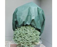 NOOR Wintervlies 1,6 x 5 m I Winterschutz Vlieshaube I Frostschutzhaube für Pflanzen I Winterschutz für Pflanzen Überwinterung I Frostresistenter Pflanzenvlies/Winterschutzvlies I Grün