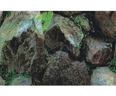 Marty KB05 1111 Beidseitige Tapete - Pflanzen/Felsen, 30.5 cm