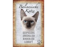 Schatzmix Katze steckbrief: Balinesische Katze - gesprächig, anghänglich, kindelieb, lebhaft Metal Sign deko Schild Blech Garten