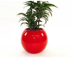 Blumenkübel Pflanzkübel Blumentopf Fiberglas Ball D40xH32cm hochglanz rot