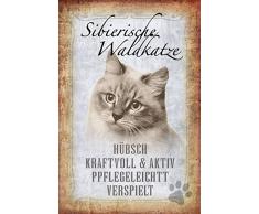 Schatzmix Katze steckbrief: sibierische waldkatze - hübsch, kraftvoll & aktiv, pflegeleicht, verspielt Metal Sign deko Schild Blech Garten