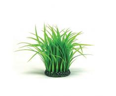 OASE biOrb 46104 Grasring mittelgroß, grün | Aquaristik | Aquarium | Aquariumpflanzen | Dekoration