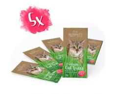 PRETTY KITTY Premium Katzengras Samen: 5 Beutel je 25g Saatmischung für 50 Töpfe fertiges Katzengras zum Naschen – eine grüne Katzen Wiese mit 5x25g Katzengrassamen, Katzen Geschenk – Pflanzen Samen