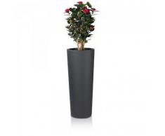 Pflanzkübel Cono 110 Kunststoff Pflanzsäule Blumenkübel Pflanztopf Blumensäule Maße: 45x45x110 cm (L/B/H), Farbe: anthrazit
