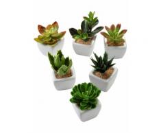 Kunstpflanzen Sukkulenten (6-tlg. Set) in grün von bonprix