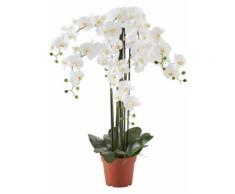 Kunstblume Orchidee XXL in weiß von bonprix